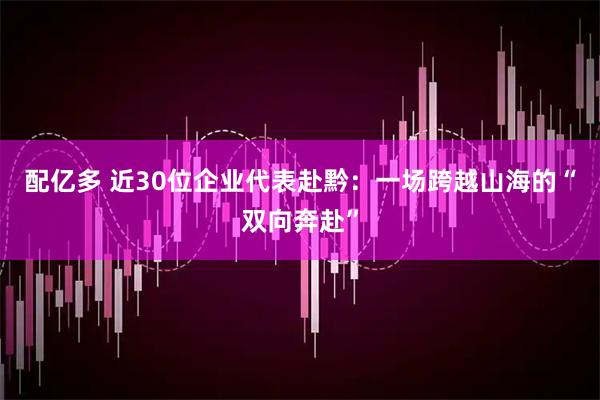 配亿多 近30位企业代表赴黔：一场跨越山海的“双向奔赴”