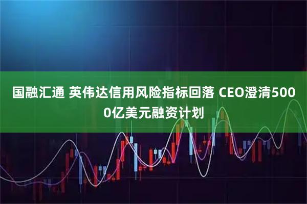 国融汇通 英伟达信用风险指标回落 CEO澄清5000亿美元融资计划